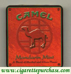 Camel Exotic Blends Dark Mint cigarette metal box