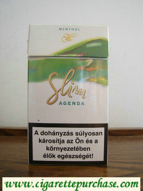 Slim Agenda Menthol 100s cigarettes hard box